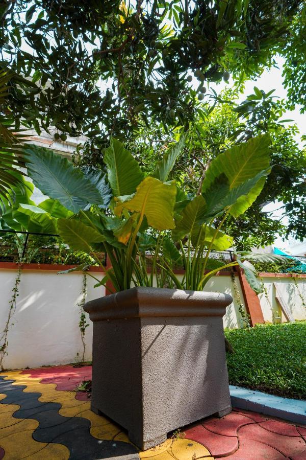 Parudeesa - Heavenly- Luxurious Palace Look-Near Cbd - Kerala - India With Breakfast Kāladi Exteriör bild